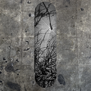 Late Nite Stars "LNS Roots" 8.0 Deck